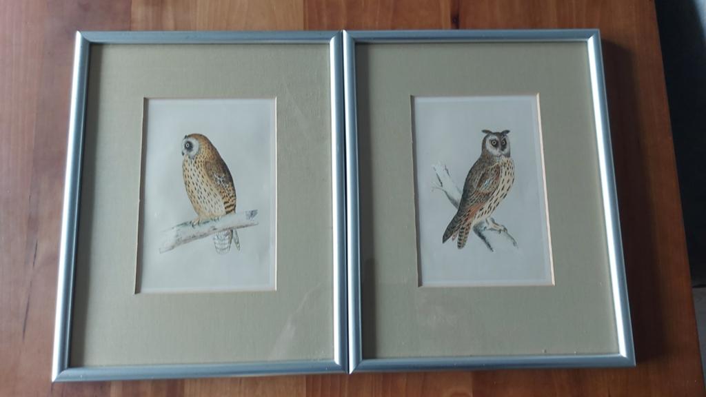 2x etsen van uilen van de  kunstenaars Roger Hebbelinck, Antiek en Kunst, Kunst | Litho's en Zeefdrukken, Ophalen of Verzenden