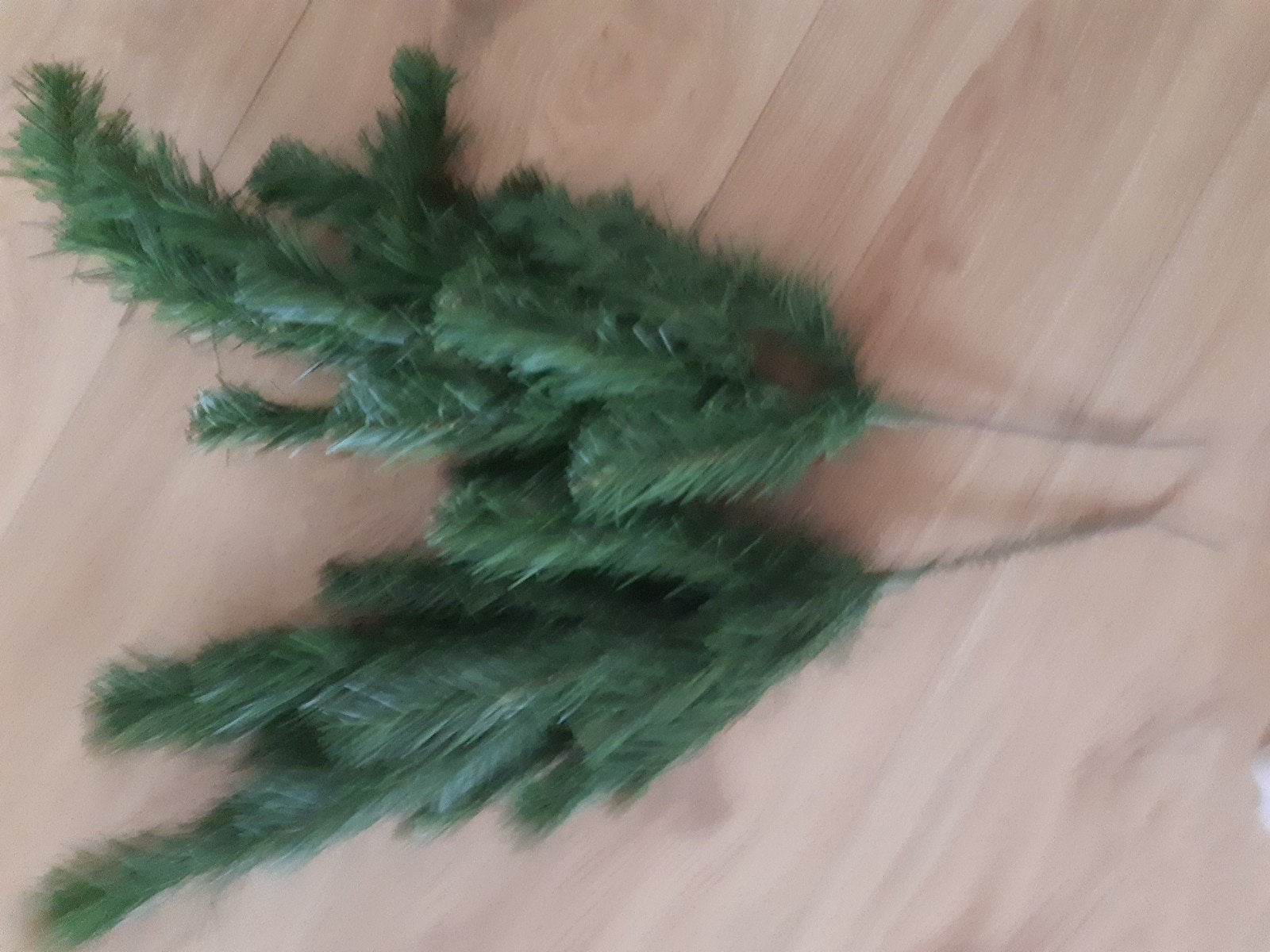kerstboom, Ophalen