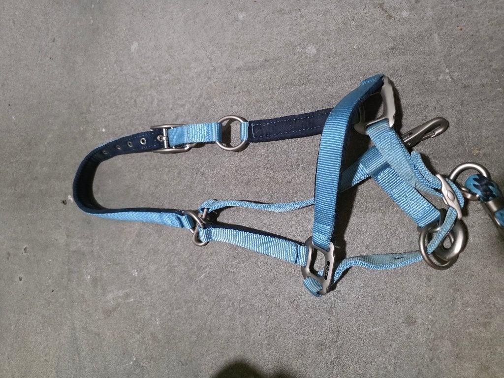 Pony halter blauw merk Anky, Ophalen, Pony, Zo goed als nieuw, Blauw
