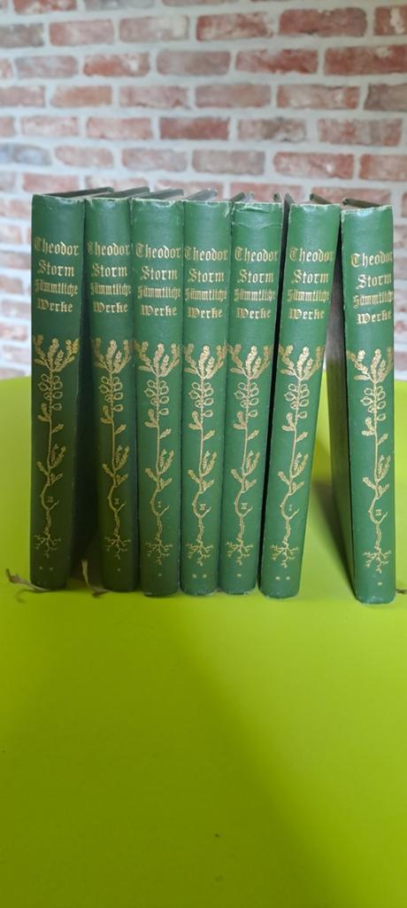 Theodor Storm Sämtliche Werke 1899 –  7 boeken, Boeken, Encyclopedieën, Ophalen of Verzenden, Gelezen, Overige onderwerpen