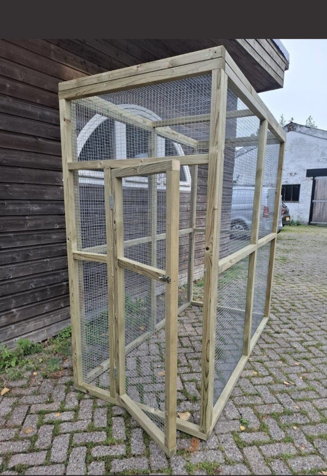 Kattenren, Dieren en Toebehoren, Ophalen, Nieuw