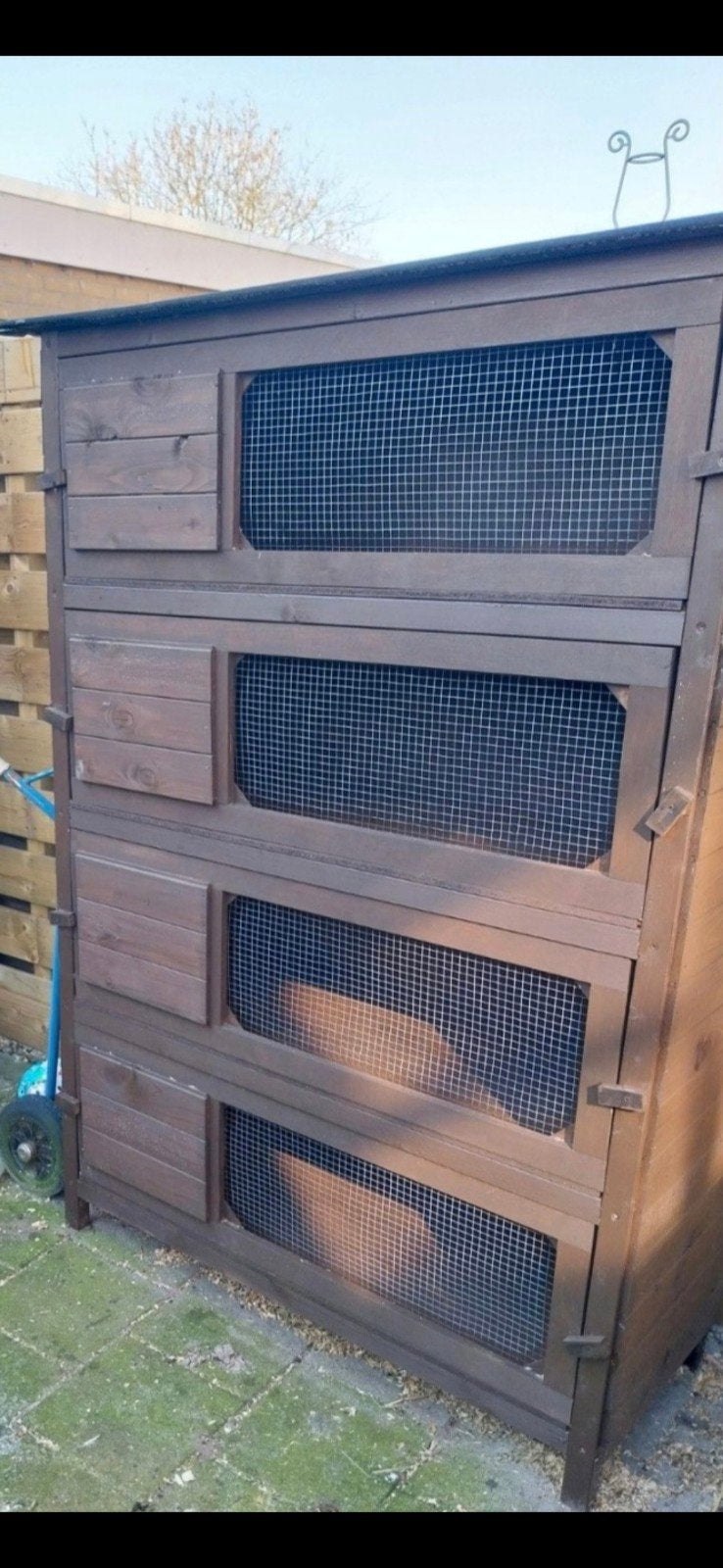 Knaagdieren flat, Dieren en Toebehoren, Knaagdieren en Konijnen | Hokken en Kooien, Ophalen, 110 cm of meer, Overige typen, Zo goed als nieuw