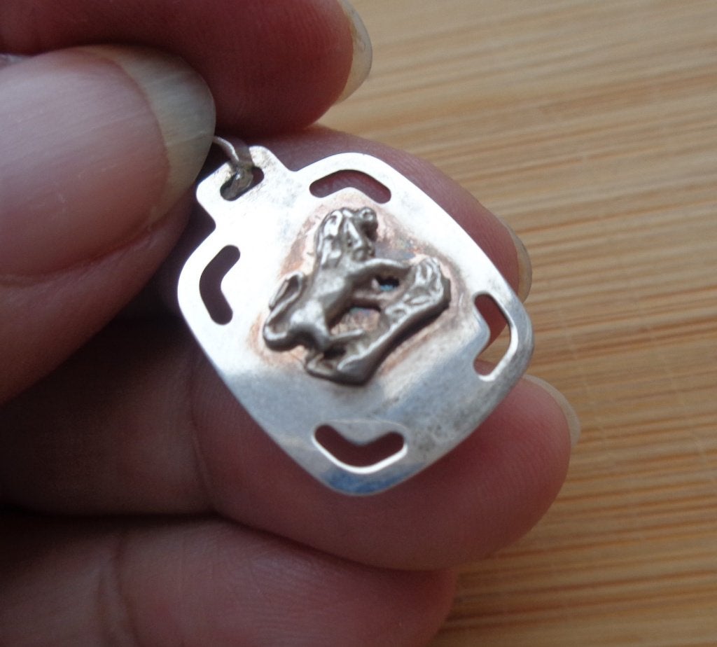 zilveren sterrenbeeld hanger leeuw [286], Verzenden, Zo goed als nieuw, Kruis of Symbool, Zilver