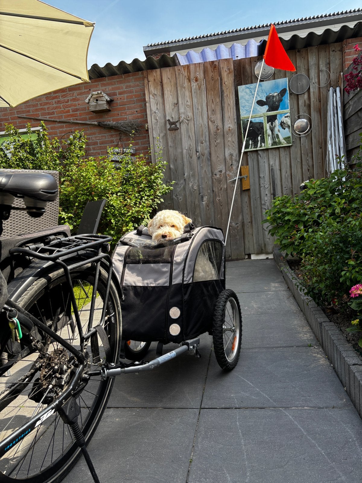 Hondenfietskar - Comfortabel en Veilig voor uw Hond, Ophalen, Opvouwbaar, 20 tot 40 kg, Zo goed als nieuw
