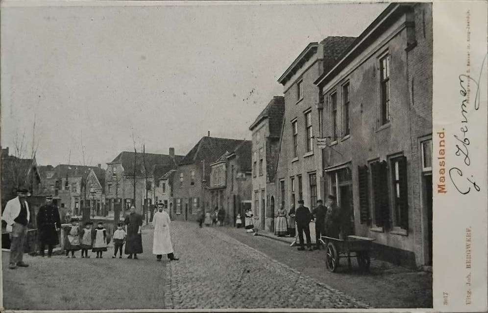 Maasland (Zuid-Holland) - Gelopen 1901, Ophalen of Verzenden, Voor 1920, Gelopen, Zuid-Holland