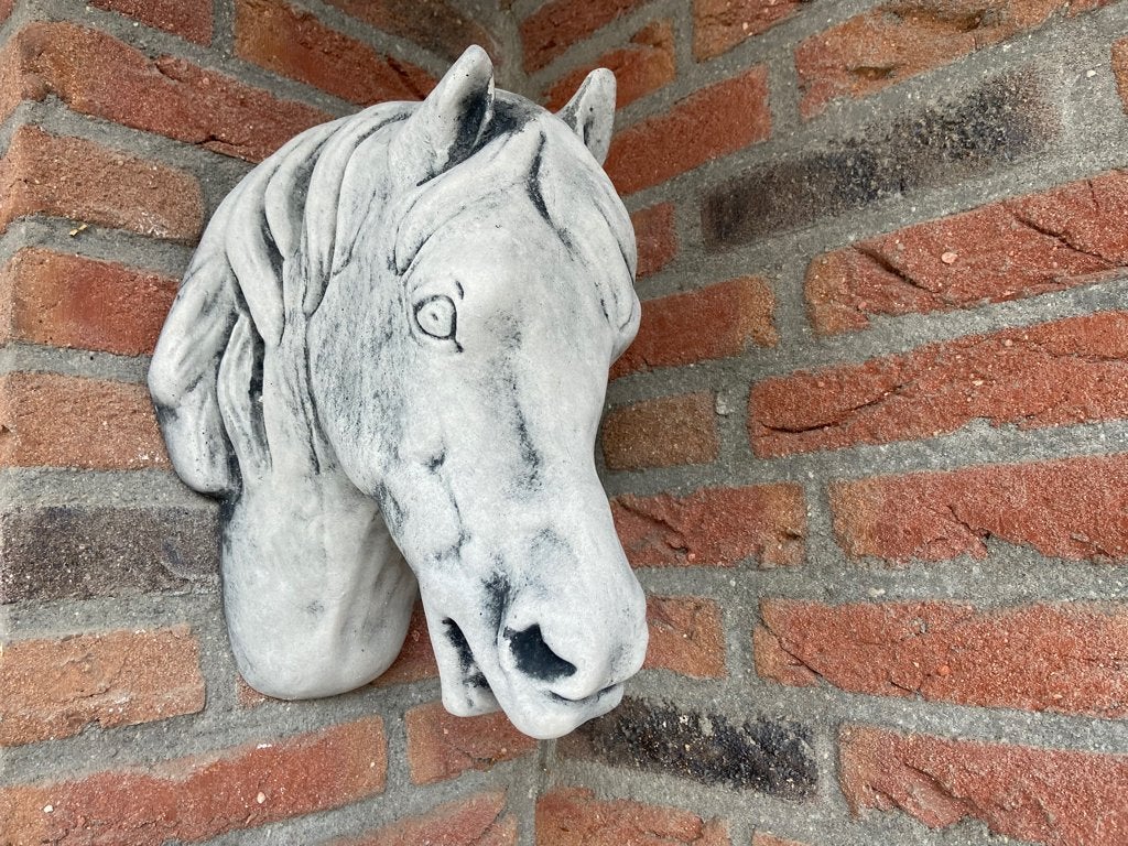 Paardenhoofd 30 x 26 cm, Ophalen, Nieuw, Beton, Dierenbeeld