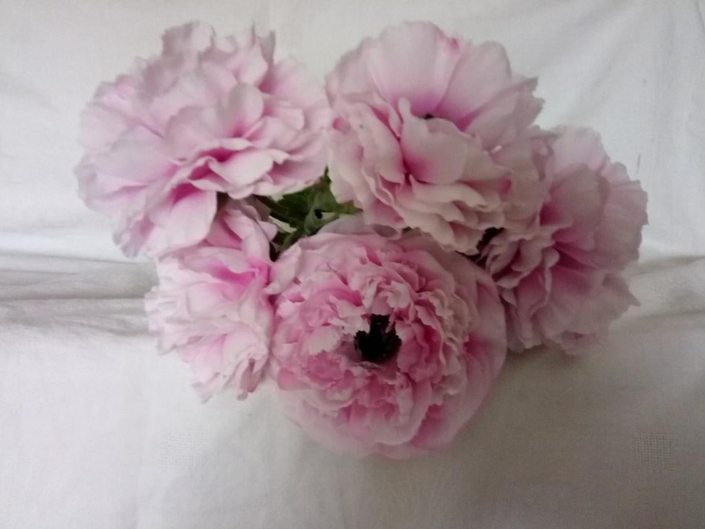 diverse kunst planten, Huis en Inrichting, Woonaccessoires | Kunstplanten en Kunstbloemen, Zo goed als nieuw, Ophalen of Verzenden