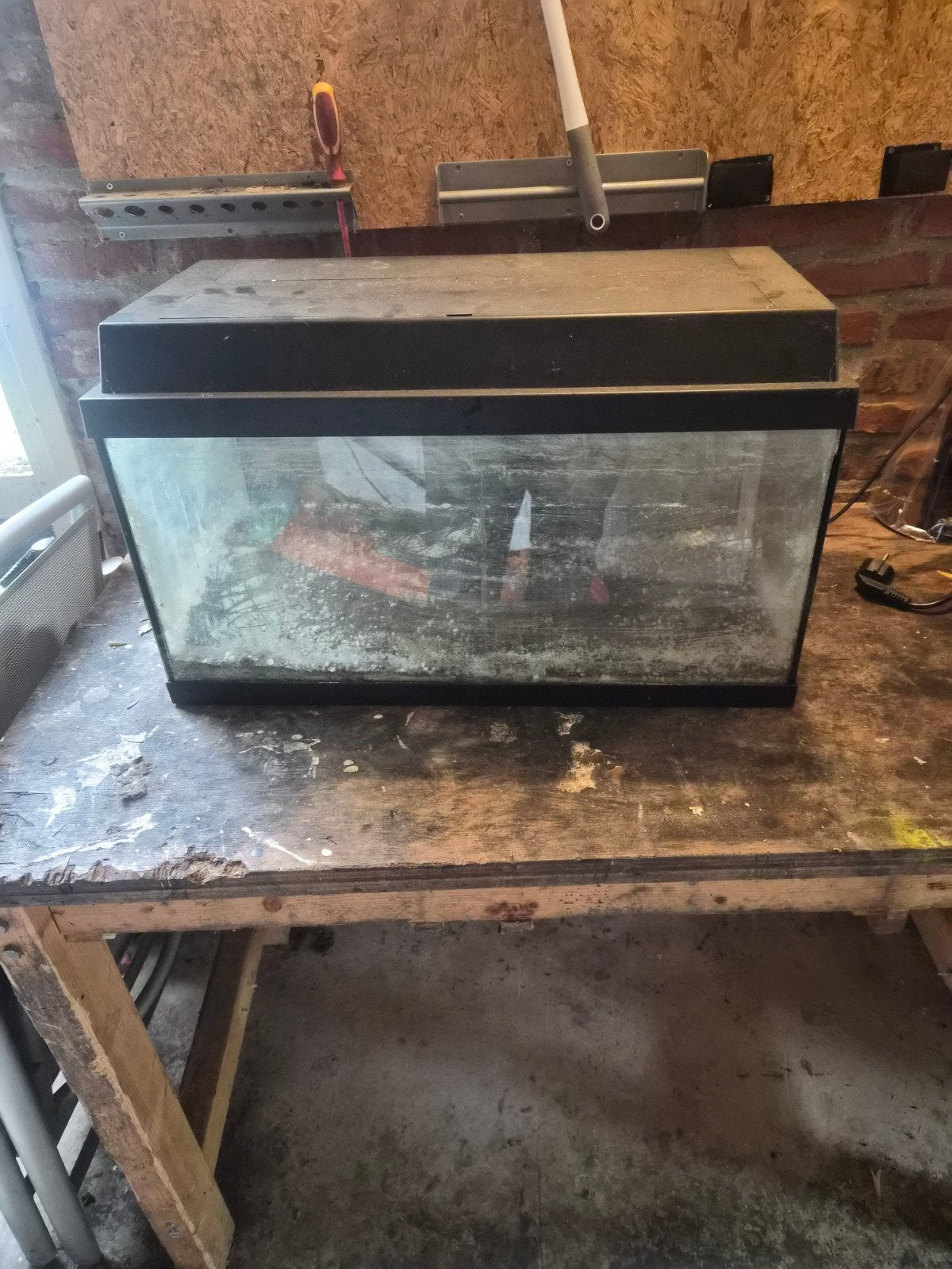 aquarium, Dieren en Toebehoren, Ophalen of Verzenden, Leeg aquarium