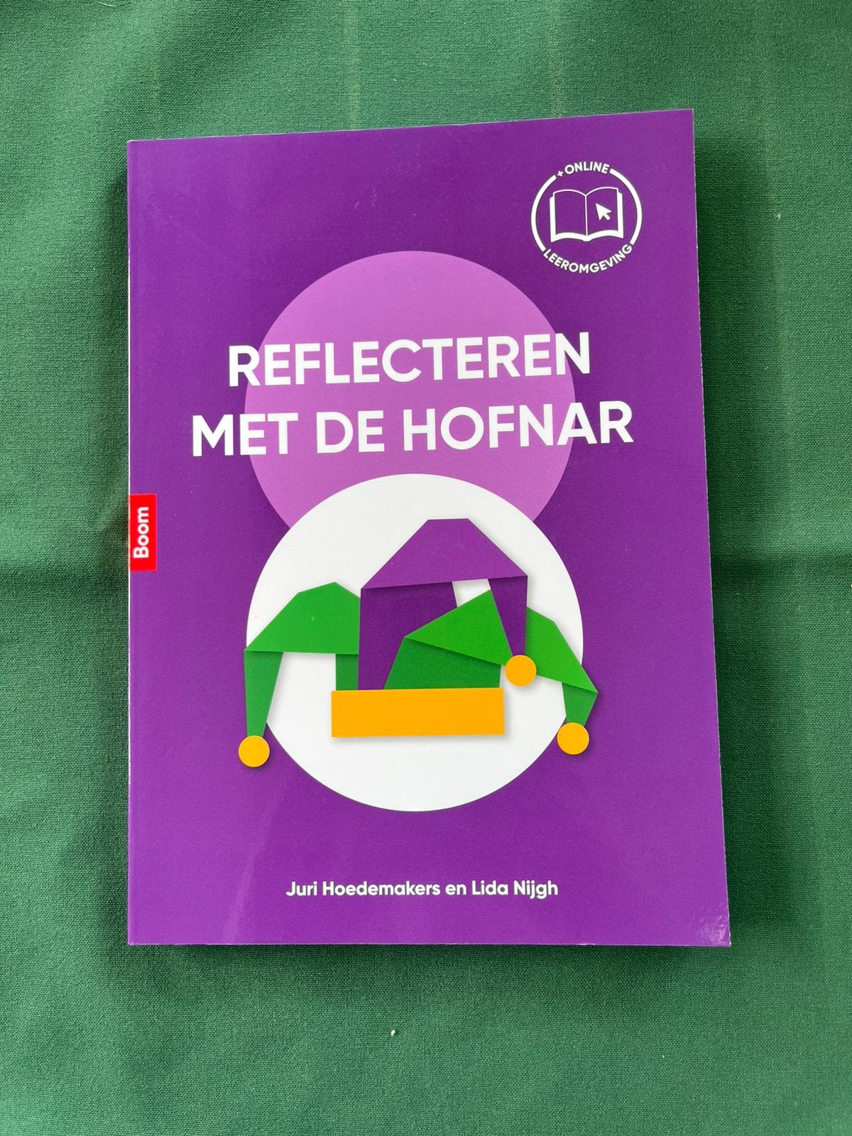 Reflecteren met de hofnar, Ophalen of Verzenden, Nieuw, Overige niveaus, Nederlands