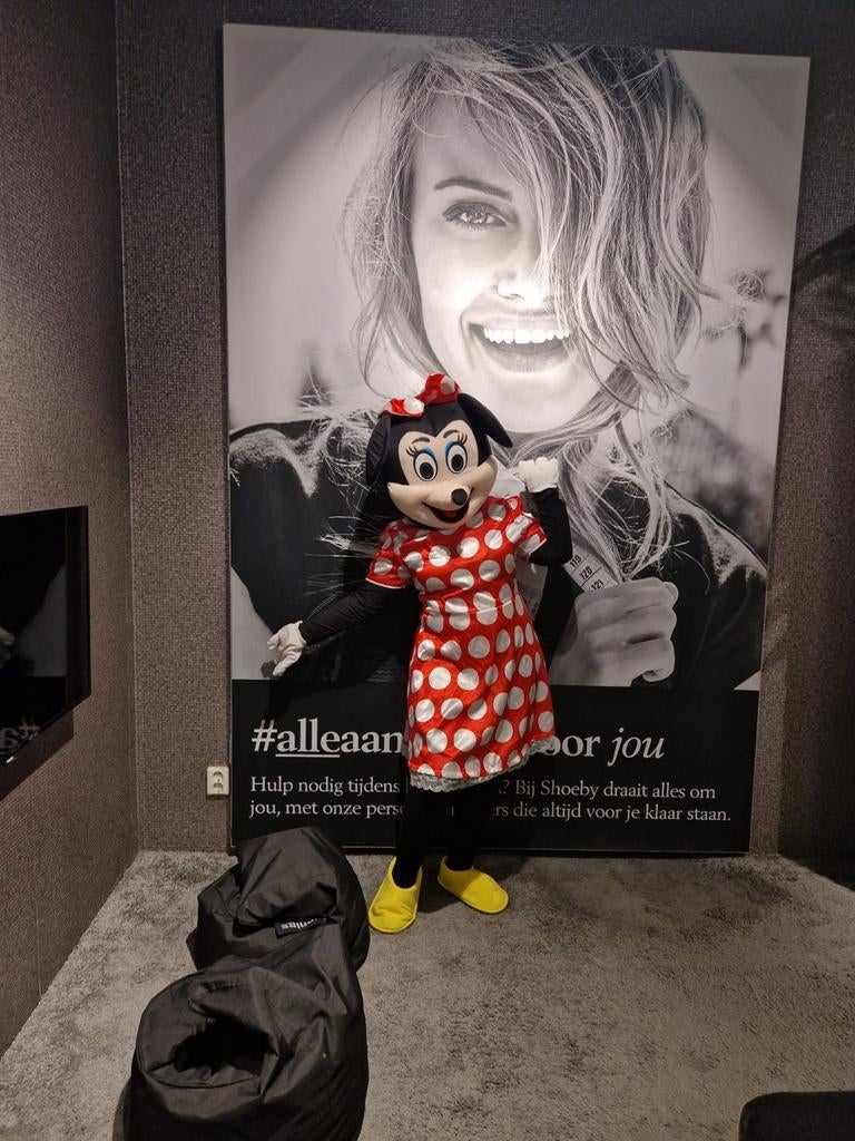 Te huur Minnie Mouse kostuum - Maat L, Ophalen of Verzenden, Gebruikt, Pak of Jurk