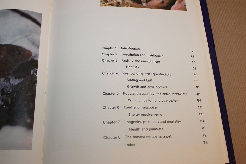 Secret Life of Harvest Mouse — Dwergmuis Natuurfotografie, Boeken, Dieren en Huisdieren, Ophalen of Verzenden, Gelezen, Katten