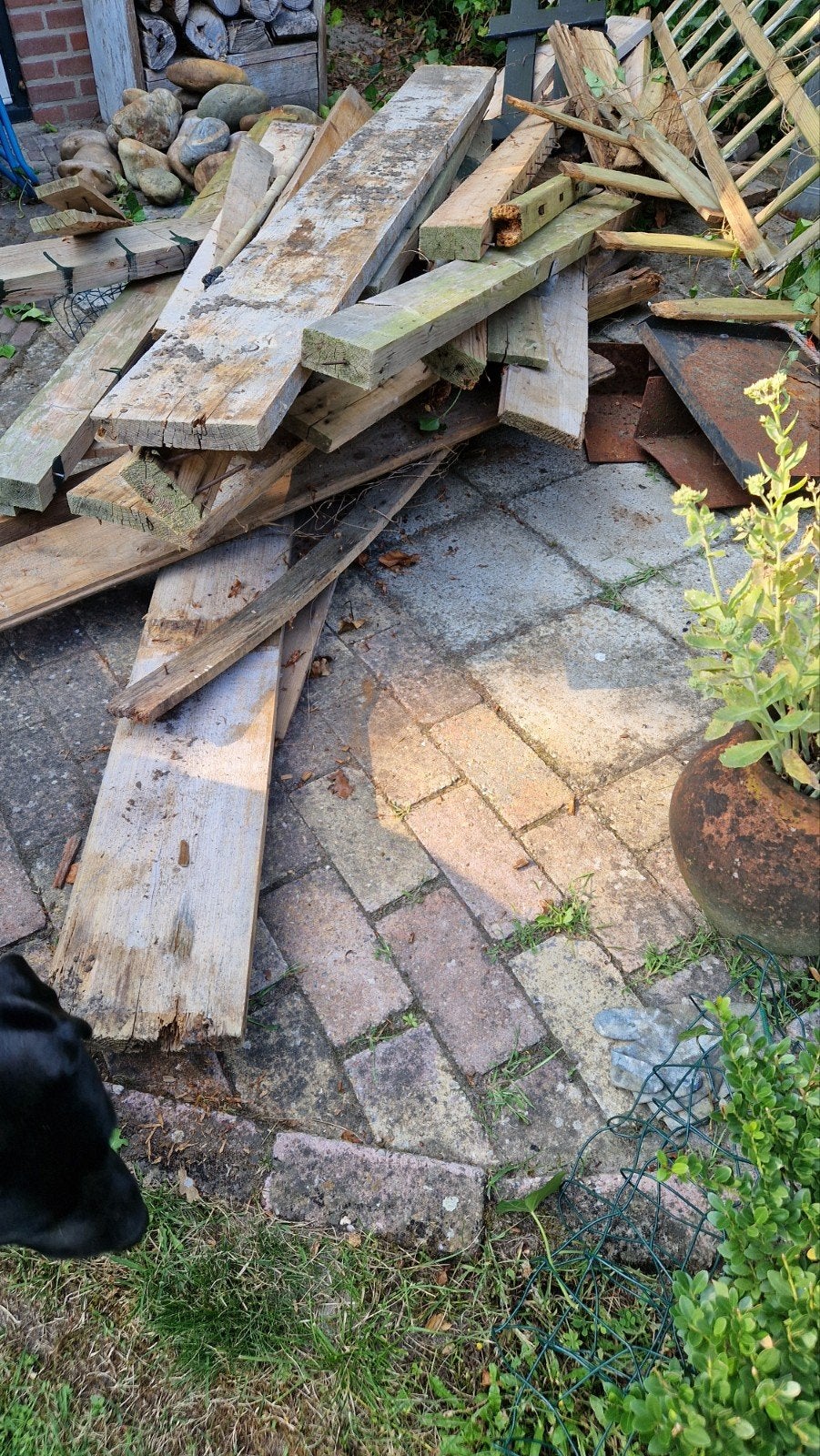 Gratis af te halen: Houten vloerplanken en resthout, Ophalen, Gebruikt, Minder dan 25 mm, Plank