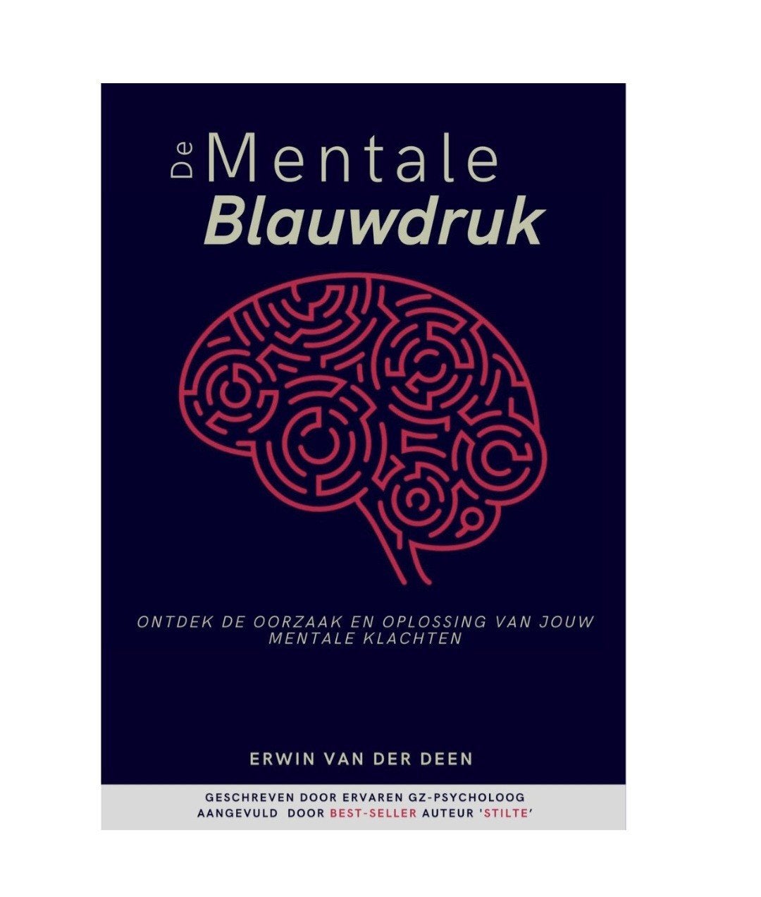 De Mentale Blauwdruk - Erwin van der Deen, Ophalen of Verzenden, Zo goed als nieuw, Cognitieve psychologie, Erwin van der Deen