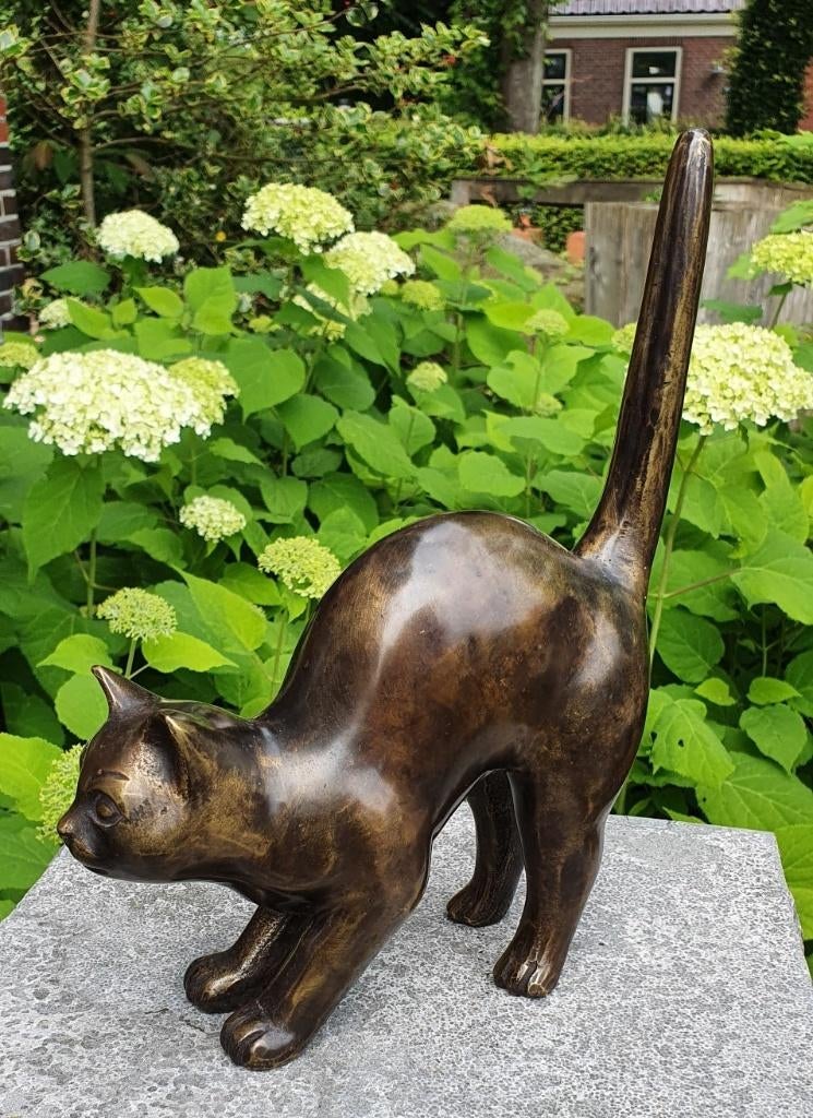 POES DIE SCHRIKT / bronzen dierenbeeld / KAT, Dierenbeeld, Nieuw, Info@huisentuindecoratiemarie.nl, Huis en tuin decoratie marie