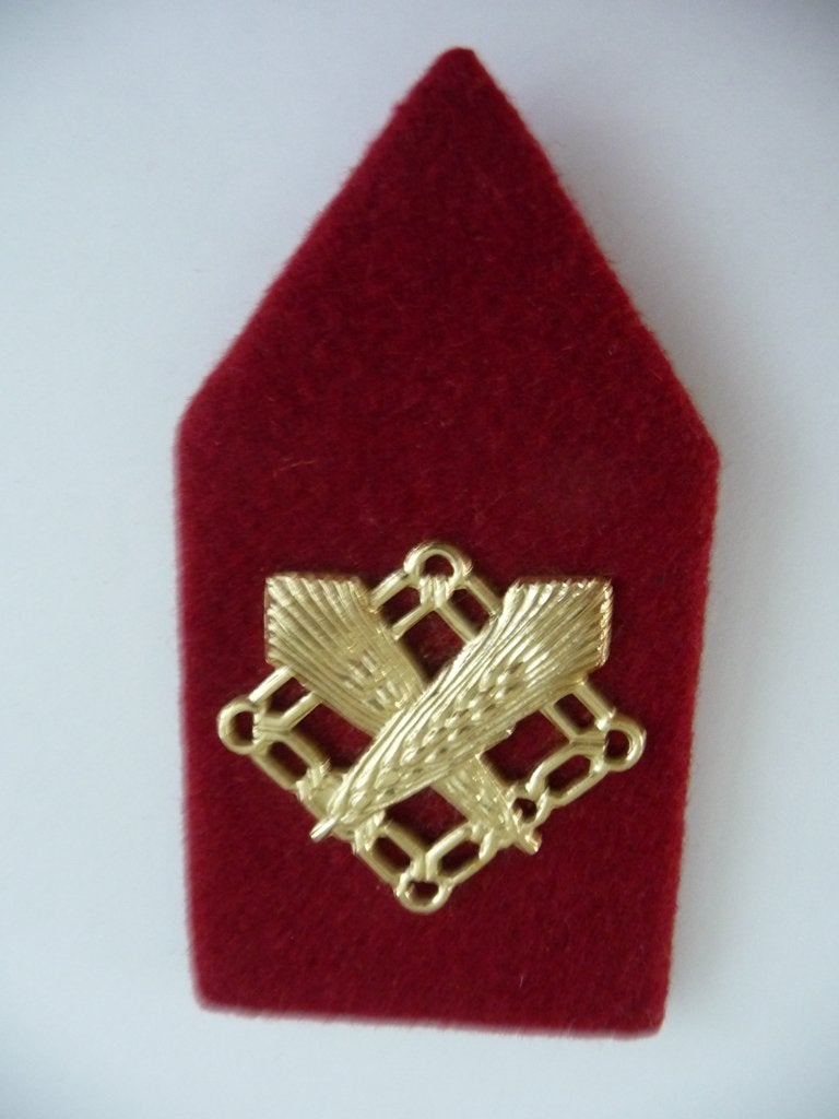 oud kraag embleem - REGIMENT INTENDANCE TROEPEN op epaulette, Verzamelen, Ophalen of Verzenden, Landmacht, Nederland, Embleem of Badge