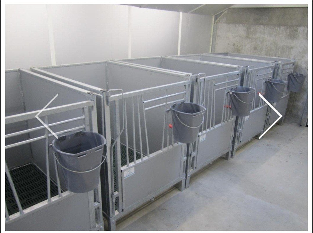 Eenlingboxen kalverhokken
