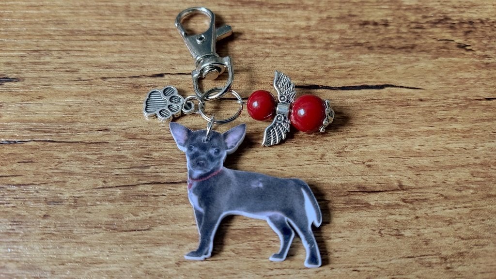 (Sleutel) Hanger Chihuahua C Dog jewelry beschermengeltje, Verzenden, Nieuw, Hanger