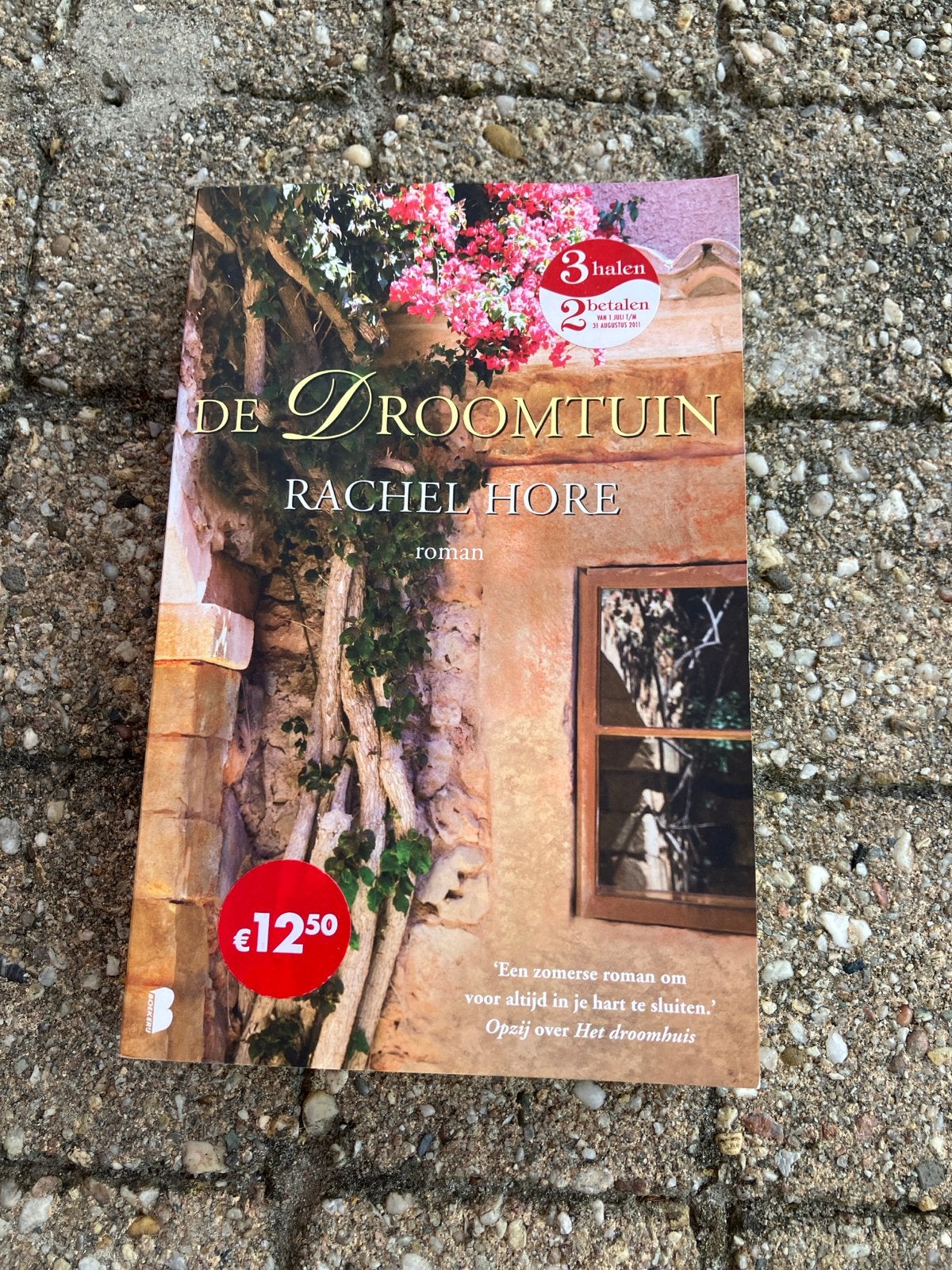 De Droomtuin - Rachel Hore (roman), Ophalen of Verzenden, Gelezen, Nederland