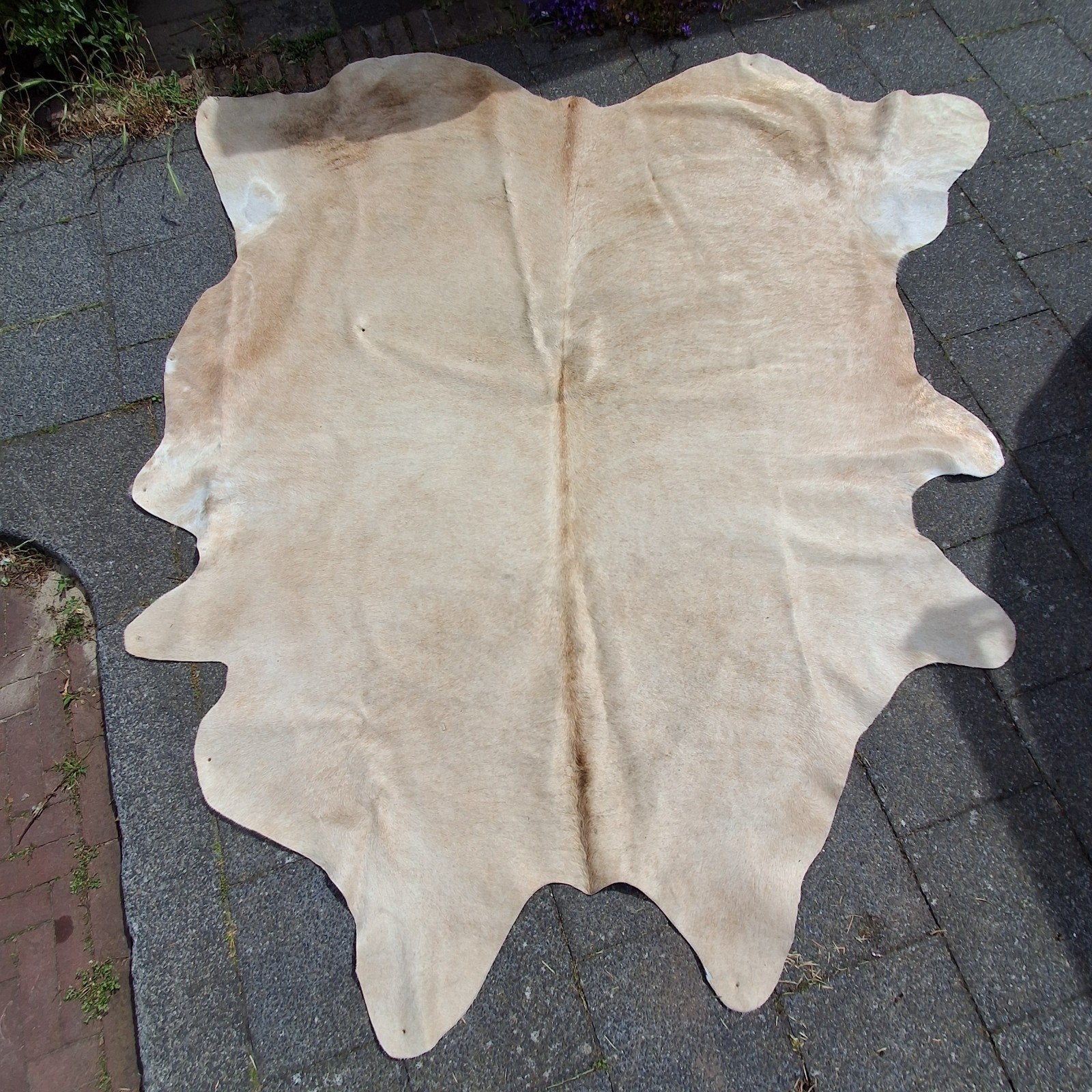 Koeienhuid, Ophalen, 200 cm of meer