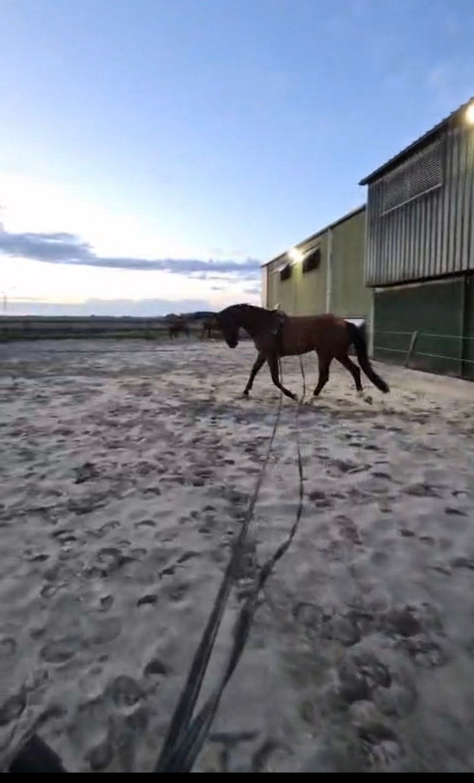 stalling aangeboden 1 paard/pony middenmeer, Dieren en Toebehoren, Stalling, 1 paard of pony