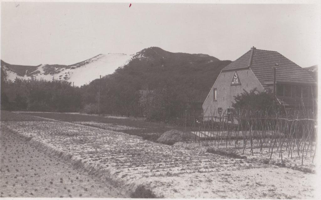 kust noordholland  duinen bollenvelden enz   fotokaart, Verzamelen, Ansichtkaarten | Nederland, Ophalen of Verzenden, Voor 1920