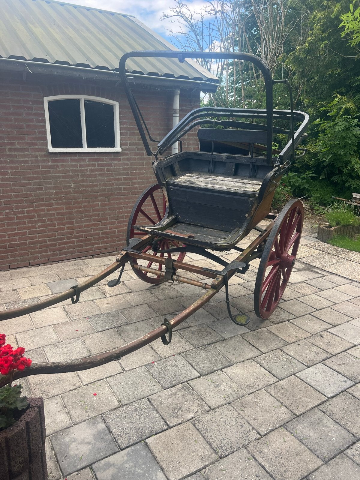 Te koop, Dieren en Toebehoren, Gebruikt, Overige typen
