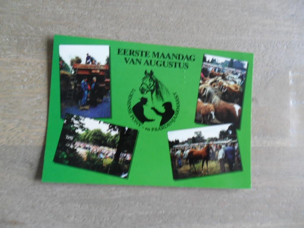Loenen vel. Loenense pony- en paarden jaarmarkt, Verzamelen, Ansichtkaarten | Nederland, Verzenden, 1980 tot heden, Gelopen, Zuid-Holland