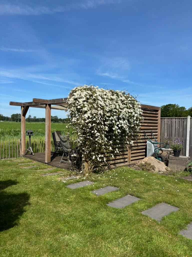 Douglas pergola met zijwand, vlonder en schaduwdoek. 4,5x4,5, Ophalen, Zo goed als nieuw, Tuinpaviljoen
