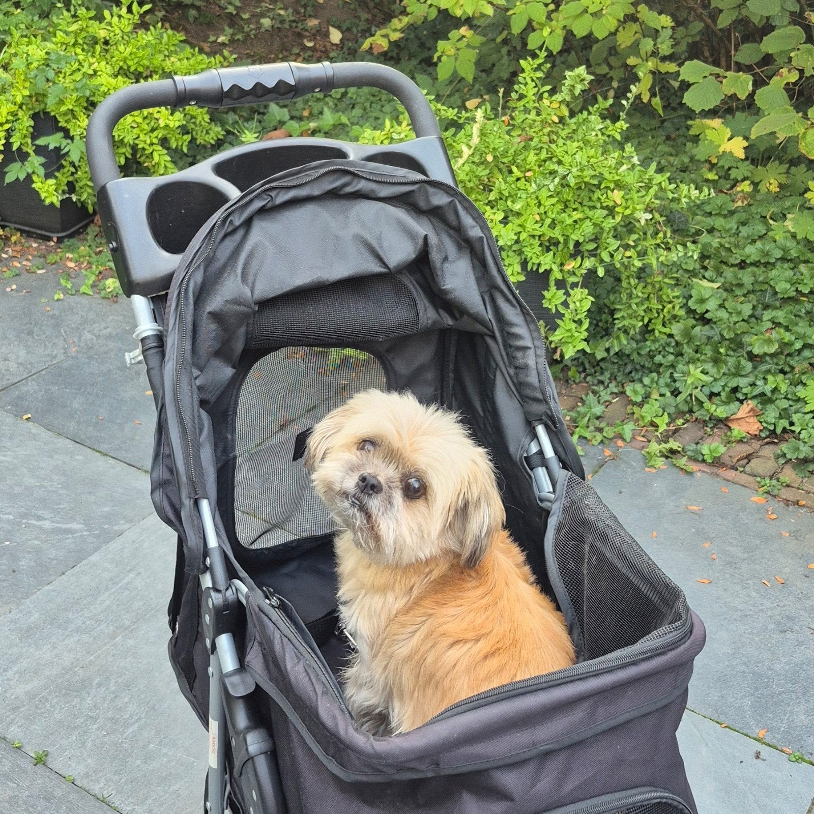 Trixie Hondenbuggy in uitstekende staat!, Ophalen, Zo goed als nieuw