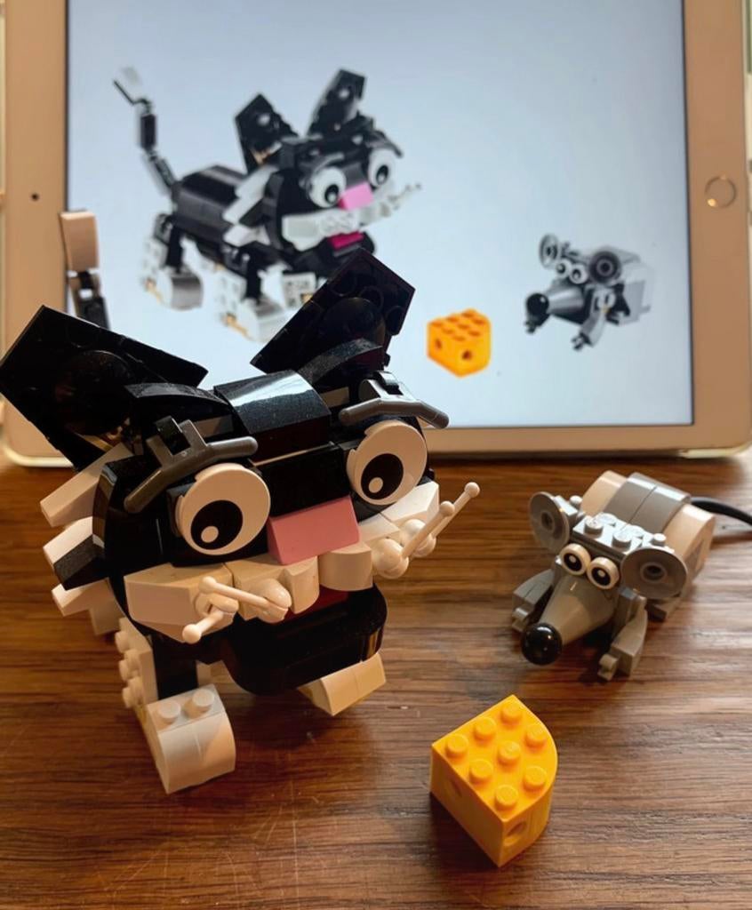 Complete Lego creator set 31021 Snoezige Dieren, Ophalen of Verzenden, Zo goed als nieuw, Complete set, Lego