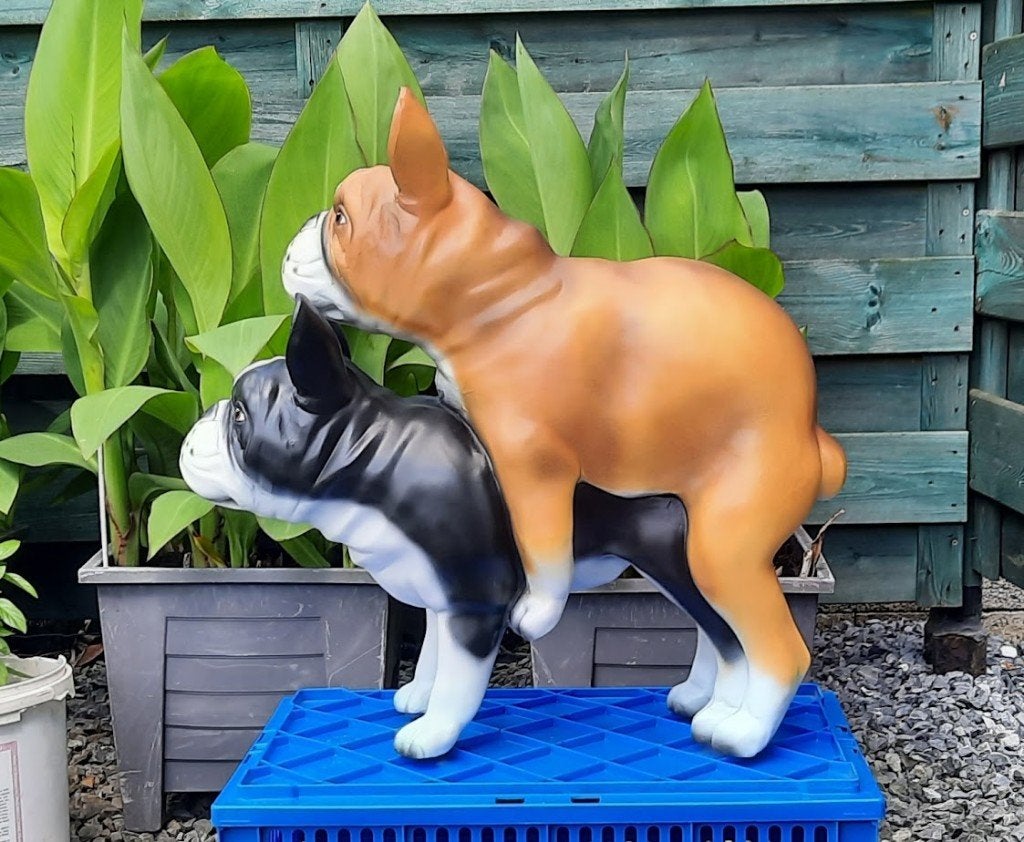 Franse bulldog´s stoute honden,foei dogs voor in&out, Ophalen, Nieuw, Kunststof, Dierenbeeld