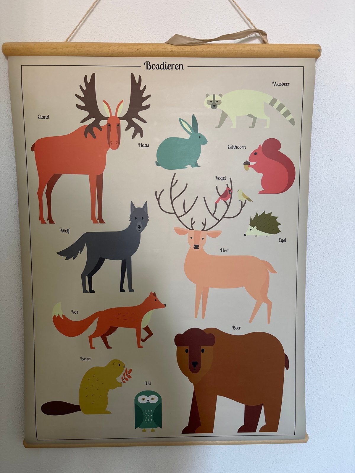 Wanddecoratie Bosdieren Poster - Educatief en Decoratief, Wandhanger, Hout, Meerkleurig, Ophalen of Verzenden