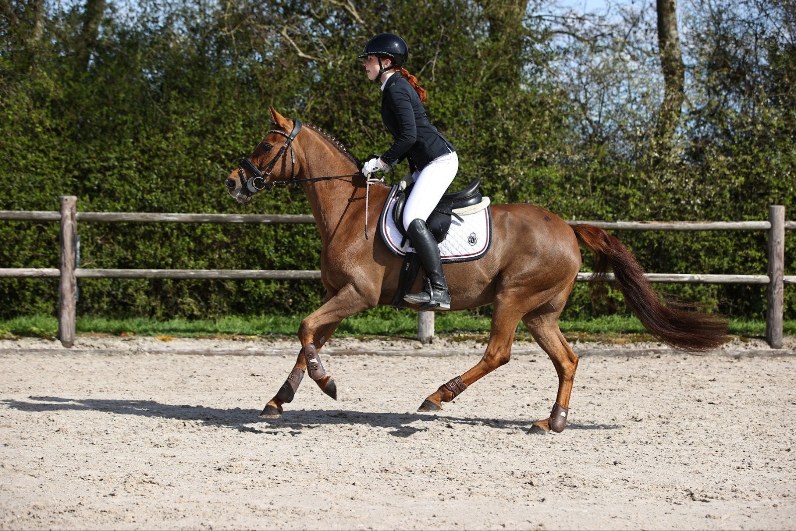 Super leuke allround New Forest D pony, Dieren en Toebehoren, Pony's, Merrie, Met stamboom, L, 11 jaar of ouder
