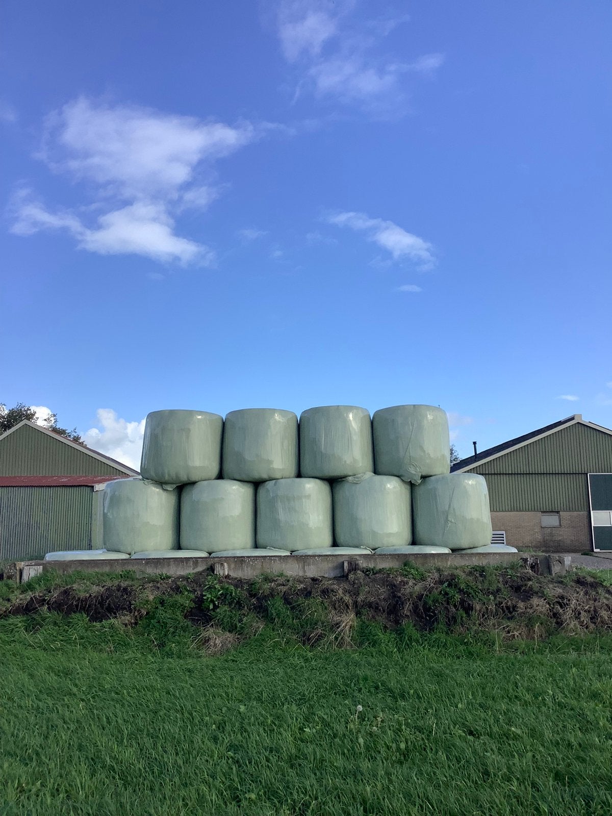 Hooi/kuilbalen, Dieren en Toebehoren, Ophalen