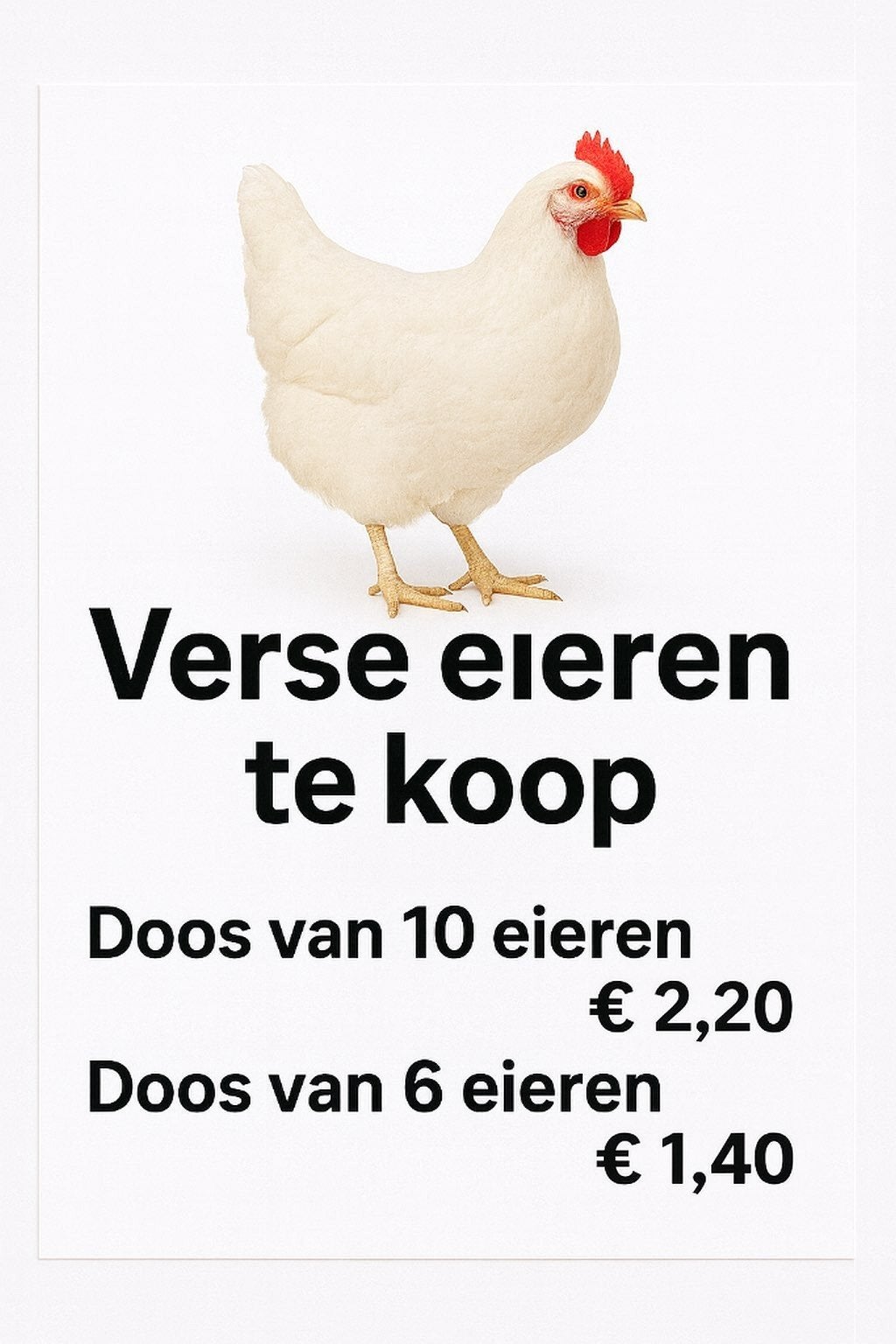 Verse boerderij scharrel eieren., Dieren en Toebehoren, Pluimvee, Vrouwelijk, Kip
