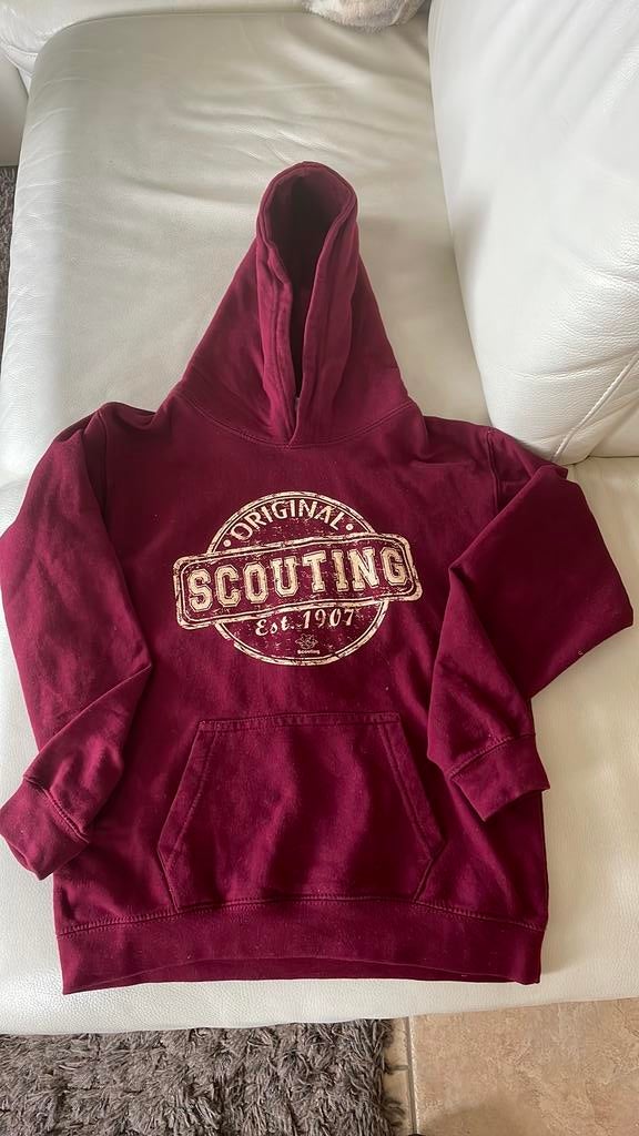 Zgan Kinder scouting hoodie maat xl, Ophalen of Verzenden, Zo goed als nieuw, Overige typen