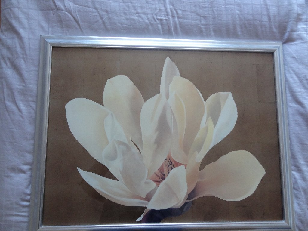 zilverkleurige lijst met roos 68x88 cm, Ophalen, Overige materialen, Gebruikt, Schilderijlijst