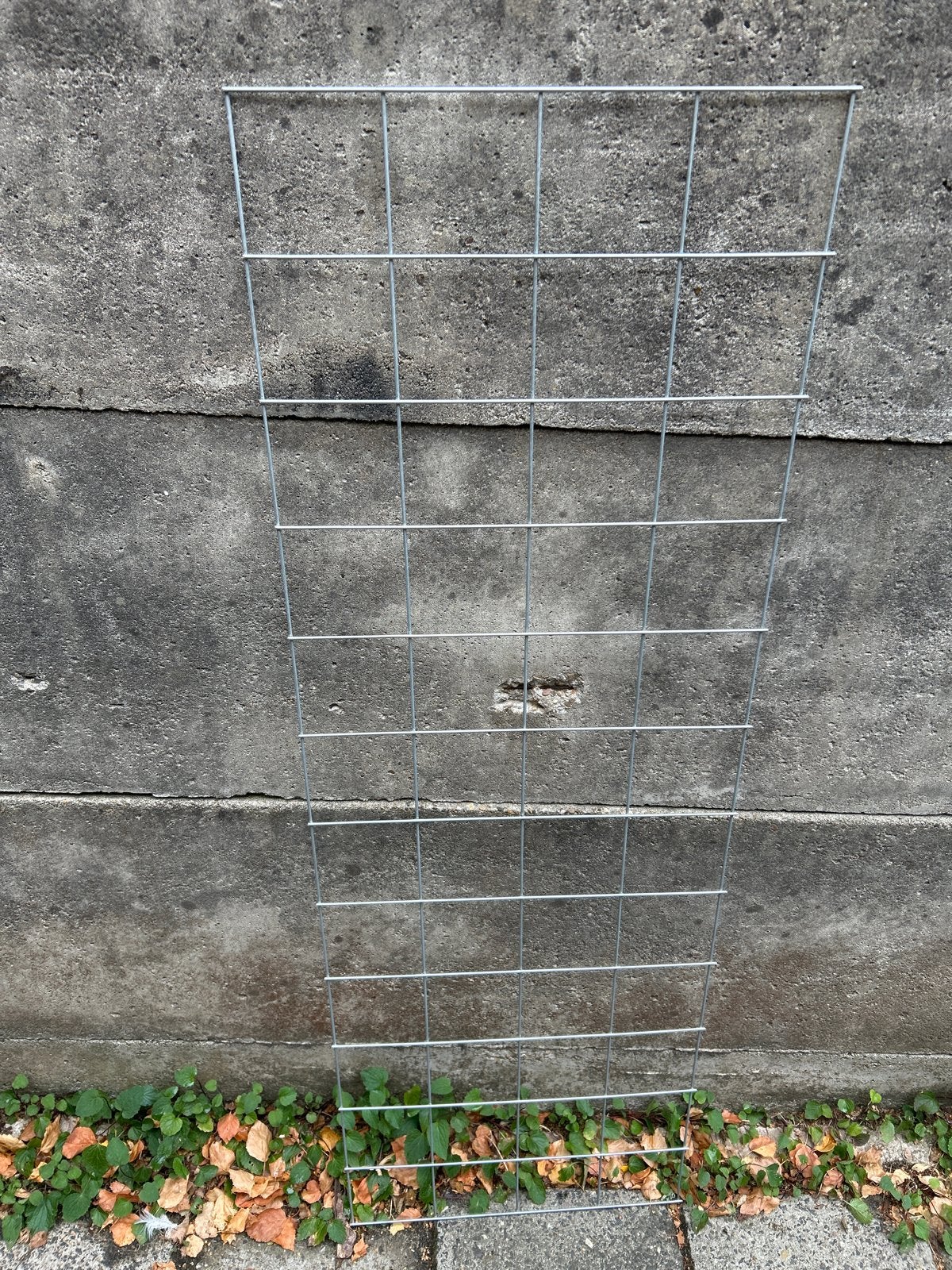 Tomaten klimrek 120x40 cm - Steun voor uw planten, Tuin en Terras, Ophalen, Groenteplanten