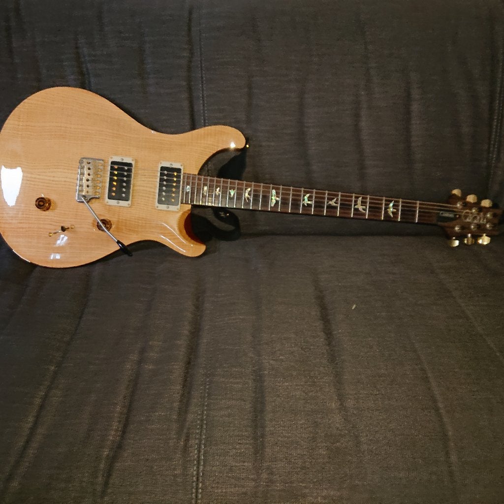 Paul Reed Smith Custom 24 gitaar, Muziek en Instrumenten, Ophalen, Zo goed als nieuw, Solid body, Paul Reed Smith