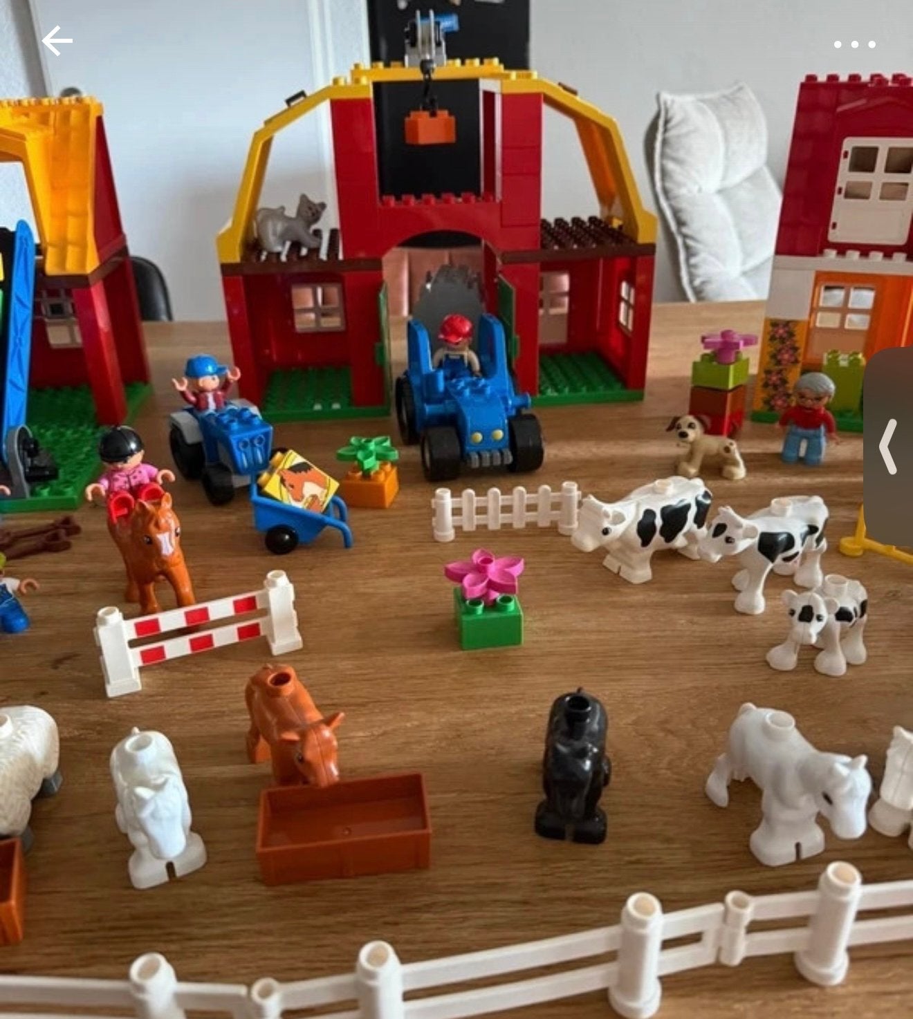 Grote partij LEGO Duplo met dierentuin en voertuigen, Ophalen of Verzenden, Gebruikt