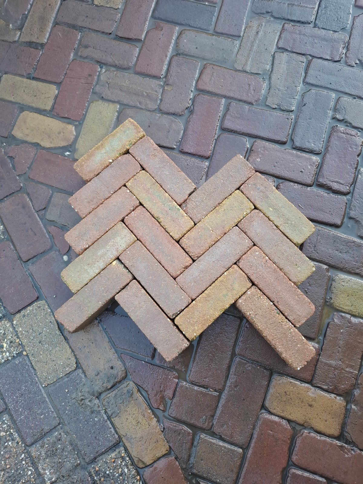 2000m² beton dikformaat, mediterraanse kleur, gebruikt, Tuin en Terras, Tegels en Klinkers, Ophalen of Verzenden, Beton, Terrastegels