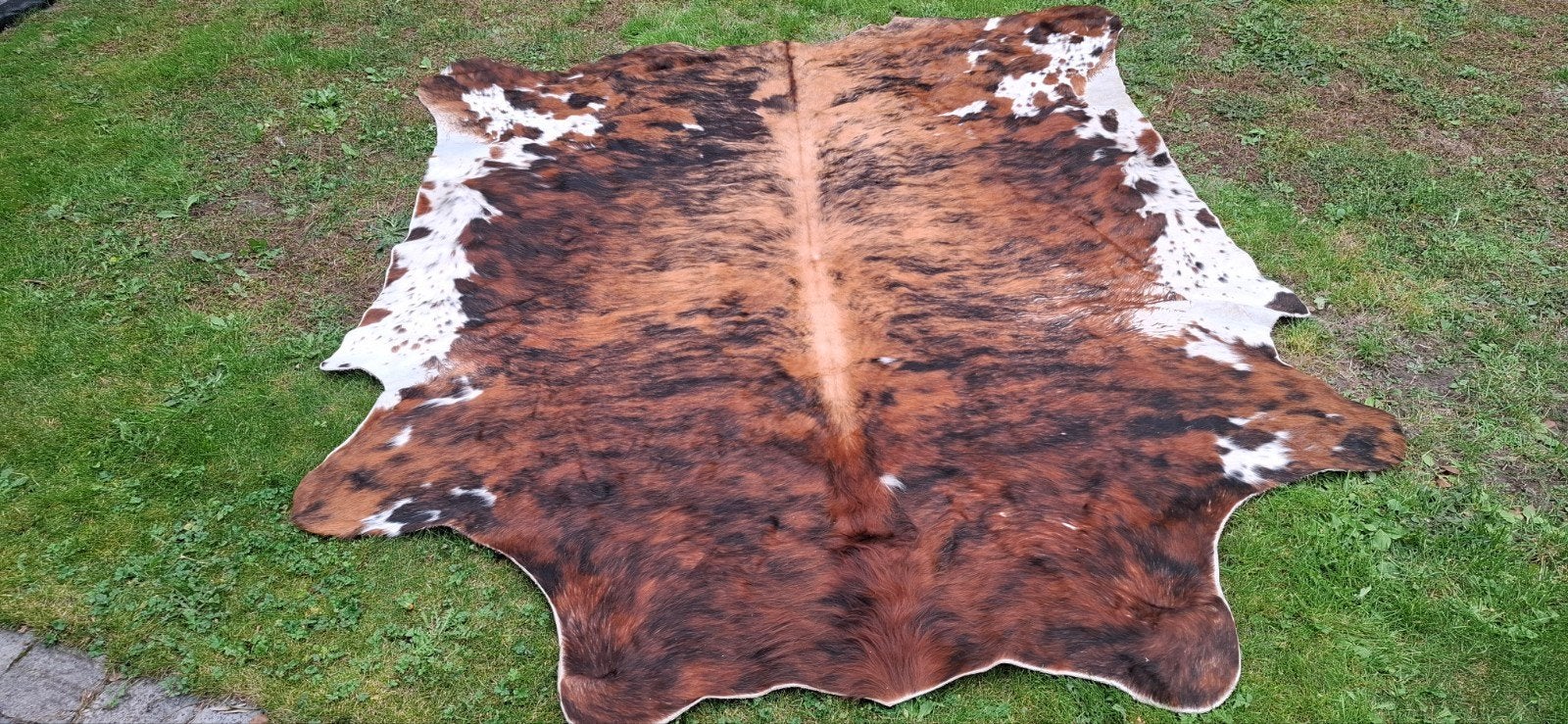 koeienhuid, Ophalen, Gebruikt, 150 tot 200 cm, 200 cm of meer