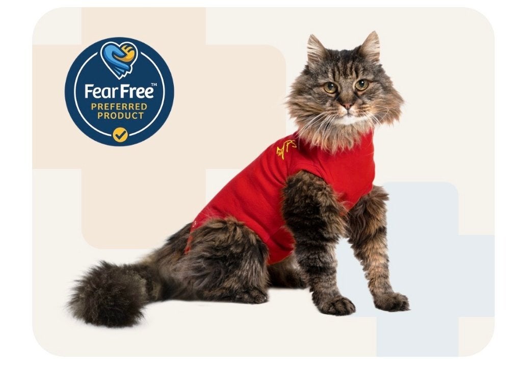 Medical protective pet shirt kat, Dieren en Toebehoren, Ophalen of Verzenden, Zo goed als nieuw