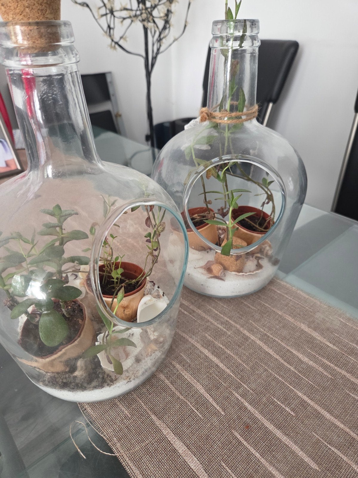 Decoratieve flessen met plantjes - Terrarium, Gebruikt, Meerkleurig, Overige stijlen, Ophalen of Verzenden
