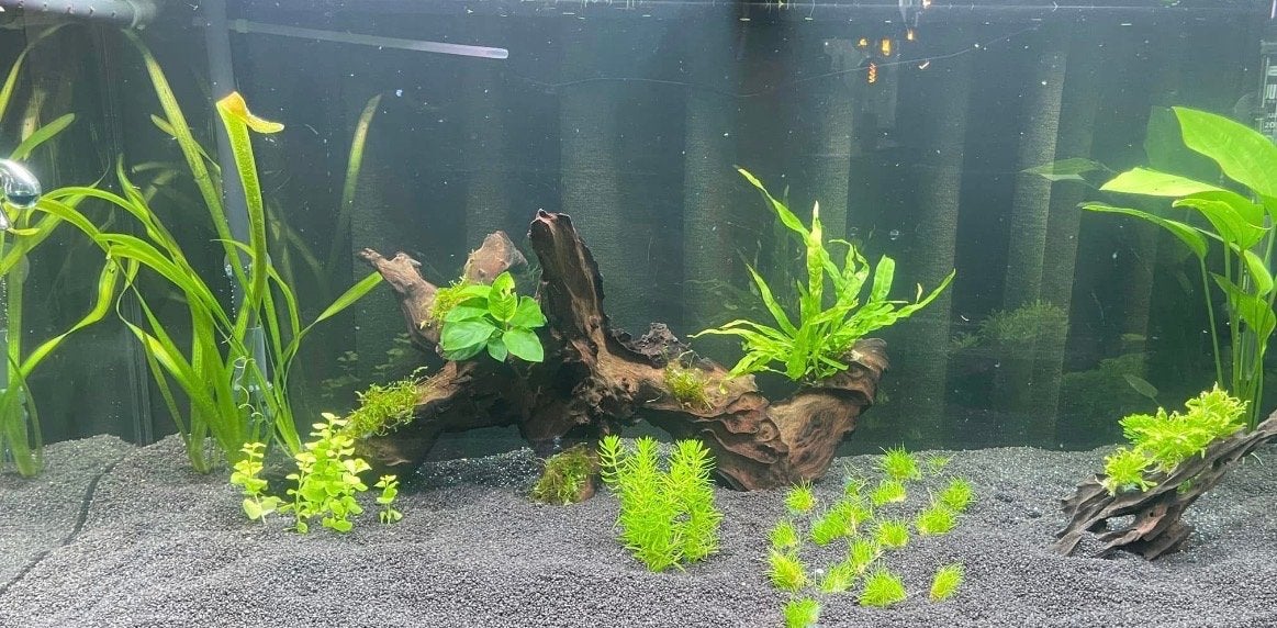 Compleet aquarium, Ophalen, Gebruikt, Inclusief deksel, Aquariummeubel