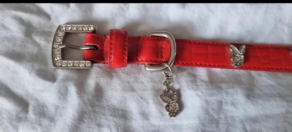 Playboy honden halsband rood, Ophalen of Verzenden, Nieuw