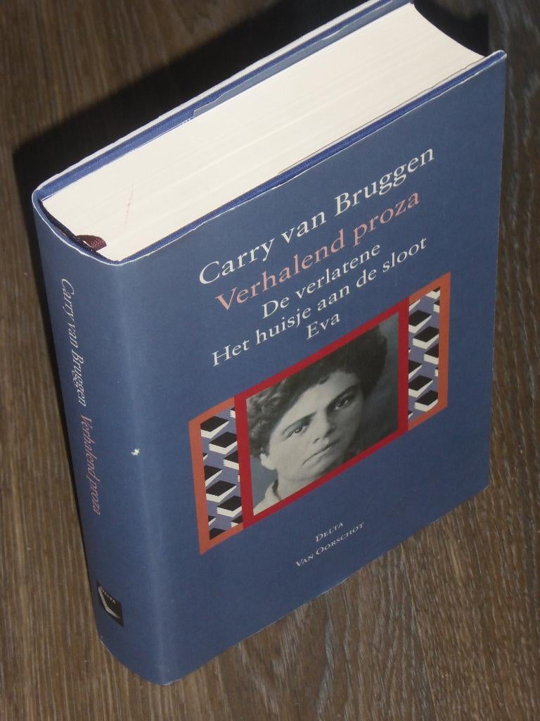 Carry van Bruggen - Verhalend proza, Boeken, Verzenden, Zo goed als nieuw, Nederland, Carry van Bruggen