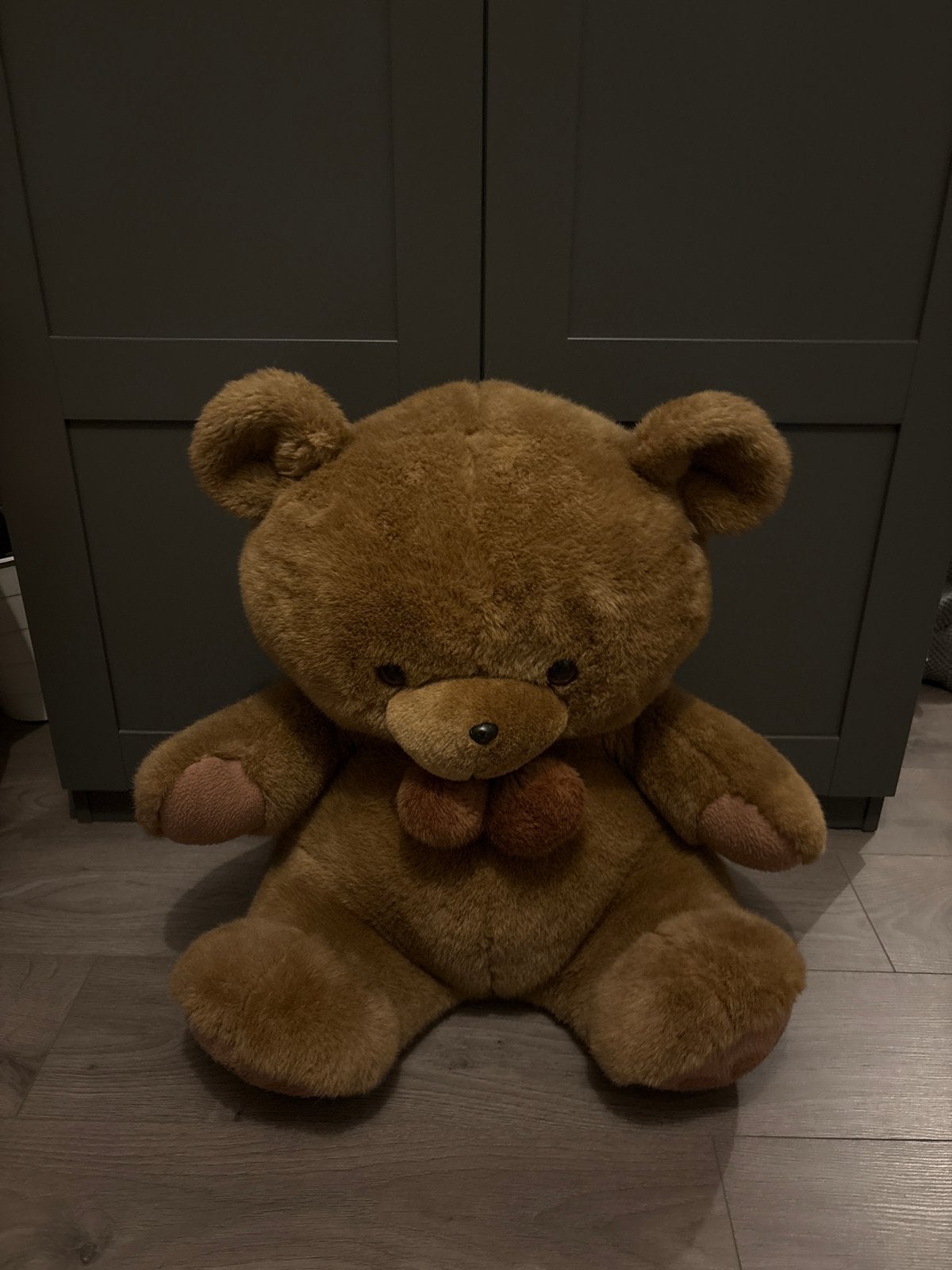 Grote bruine teddybeer, Ophalen, Gebruikt, Beer, Middelgroot (20 tot 80 cm)