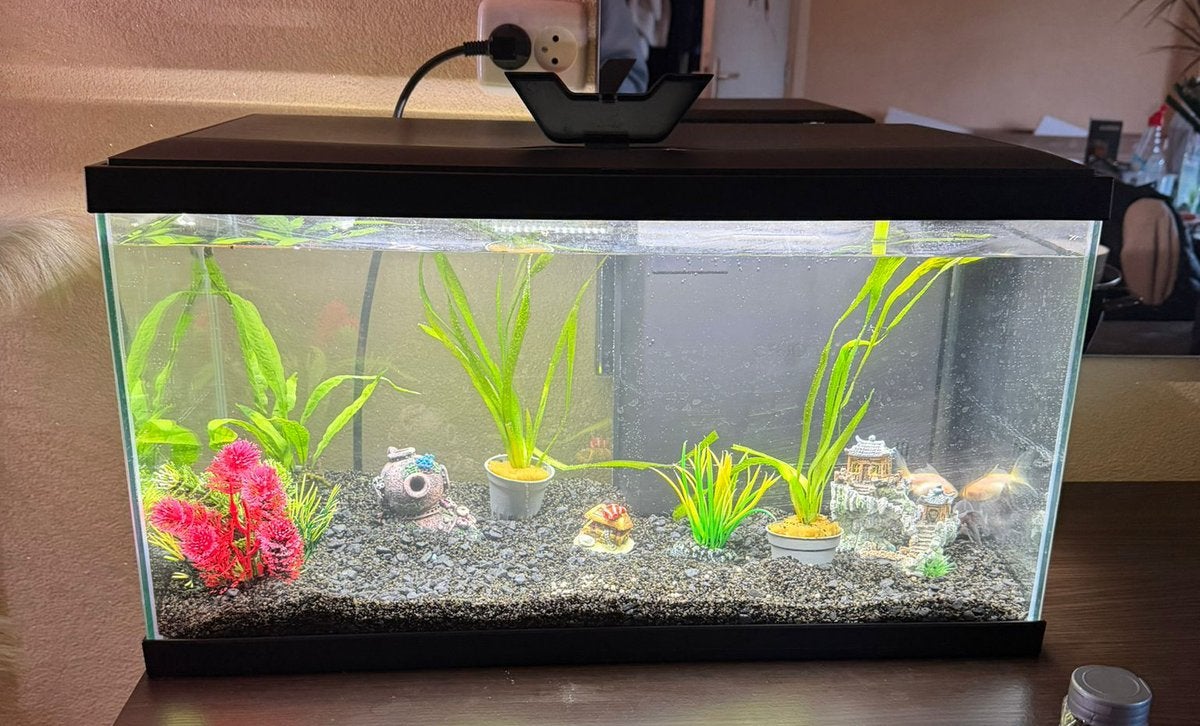 Aquarium, Dieren en Toebehoren, Vissen | Aquaria en Toebehoren, Ophalen, Zo goed als nieuw, Leeg aquarium