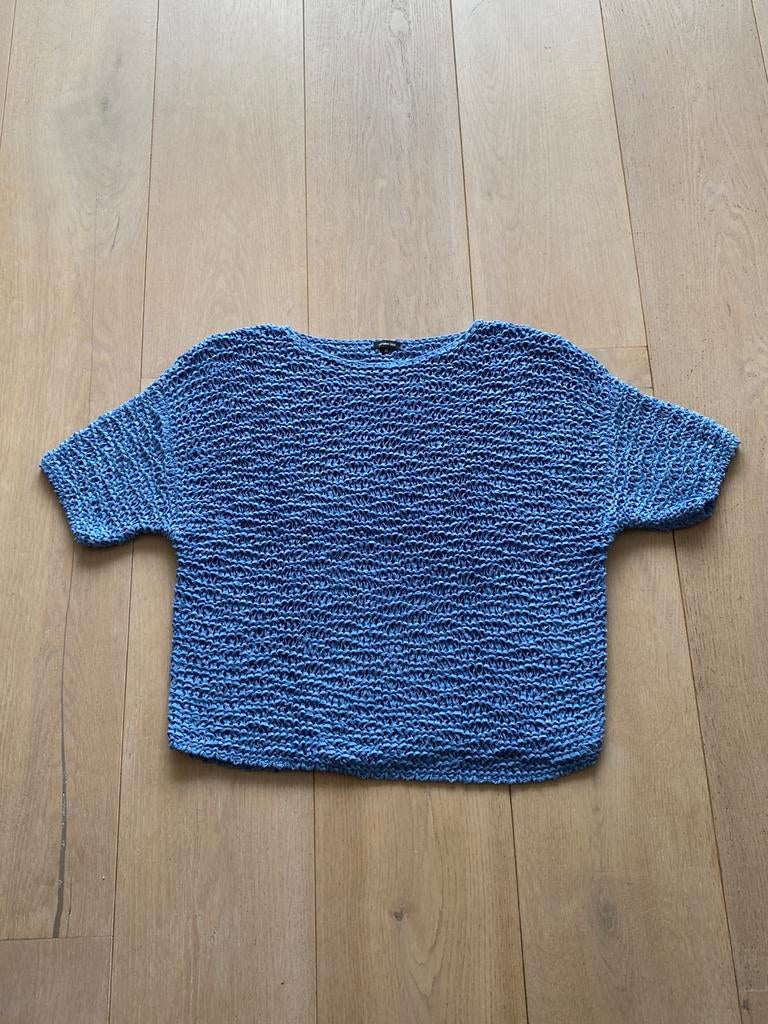 Caroline Biss 40 nieuwstaat, Kleding | Dames, Truien en Vesten, Ophalen of Verzenden, Zo goed als nieuw, Maat 38/40 (M), Blauw